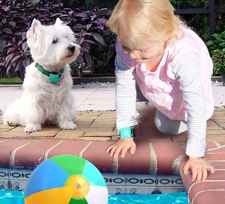 Safety Turtle Pool Alarm 2.0